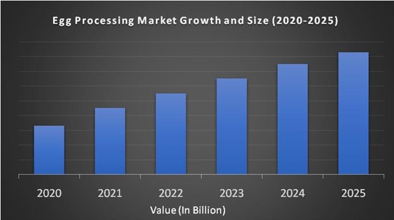 Egg Processing Market 